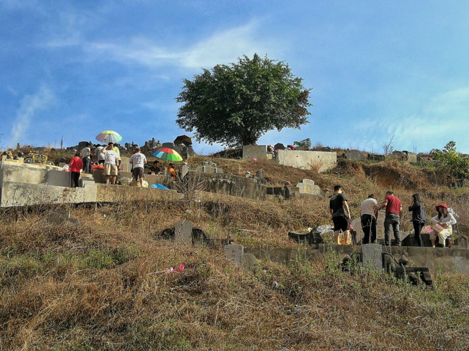命理師指出，鼠、蛇、猴、豬4生肖清明較易卡到陰，儘量避免前往晦氣、煞氣重的地方。（示意圖：shutterstock／達志）