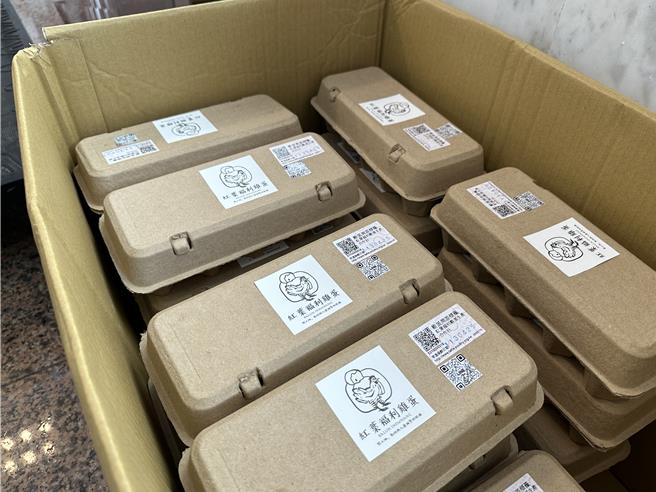 紅葉福利雞蛋生產合作社生產雞蛋，改善部落老人生計。（王志偉攝）