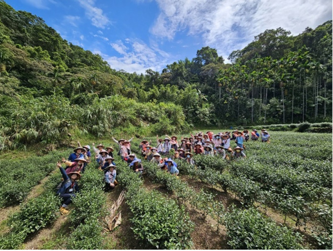 新北市自102年开始每年举办单身联谊活动，广受市民好评。(图/新北市政府民政局提供)