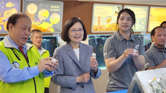 種珊瑚看畫展，蔡英文「畢業旅行」好忙。總統蔡英文（中）28日偕同澎湖縣長陳光復（左）參訪澎湖海洋保育教育中心時，一起種下一株中間軸孔珊瑚。（許逸民攝）