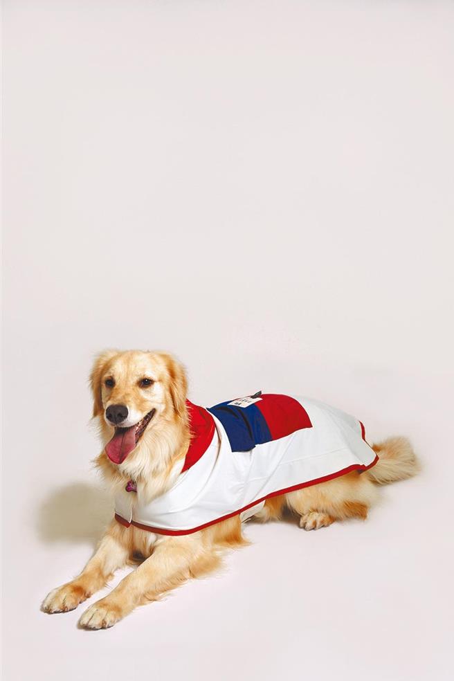 UNIQLO鼓勵民眾響應服裝回收再生，讓舊衣改造成寵物衣或是裝置藝術。（UNIQLO提供／朱世凱台北傳真）