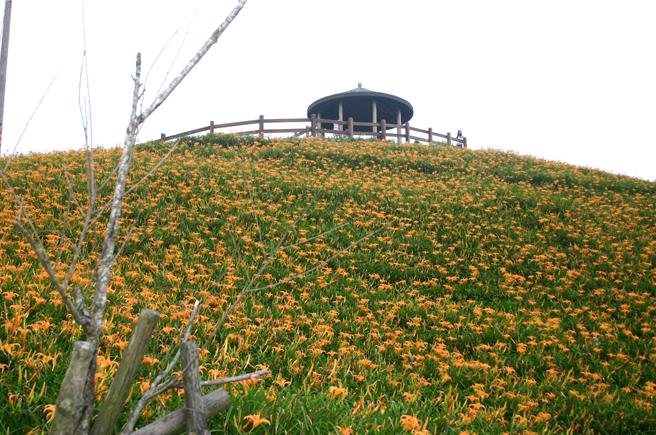 台東太麻里鄉金針山地區與金峰鄉行政區域界線未定，太麻里鄉公所將於4月4日舉辦公投。（讀者提供／蔡旻妤台東傳真）