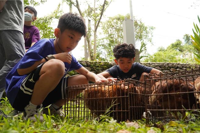 宜兰县大进国小今（28日）举行鸡舍搭建落成典礼，庆祝他们创新课程的重要里程碑。（大进国小提供／吴佩蓉宜兰传真）