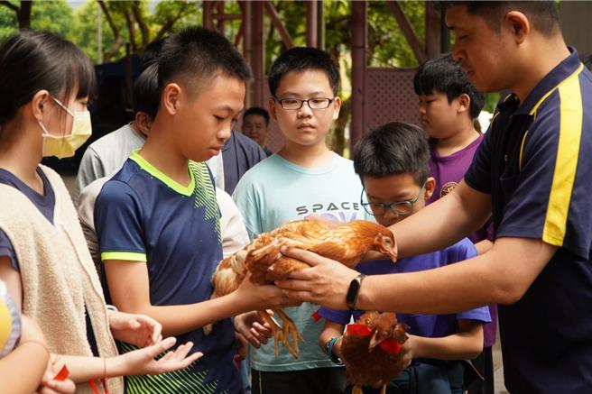 宜兰县大进国小今（28日）举行鸡舍搭建落成典礼，庆祝他们创新课程的重要里程碑。（大进国小提供／吴佩蓉宜兰传真）