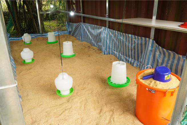 宜兰县大进国小今（28日）举行鸡舍搭建落成典礼，庆祝他们创新课程的重要里程碑。（大进国小提供／吴佩蓉宜兰传真）