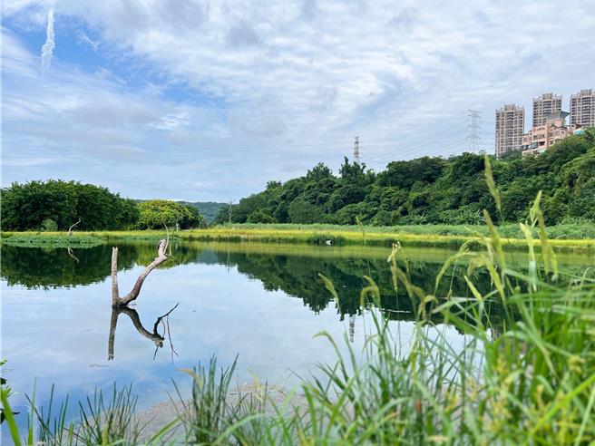 桃園市政府於中庄攔河堰旁興建人工溼地「瑞興溼地」。（水務局提供／蔡明亘桃園傳真）