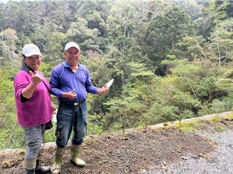 藤枝植樹月集點樹  外來種區保護台灣原生種