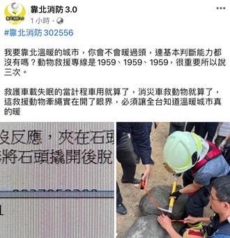 消防解救受困的「宠物牵绳」 网惊：认真的吗？