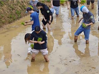 三芝實踐農村文化 再現「農務換工」精神
