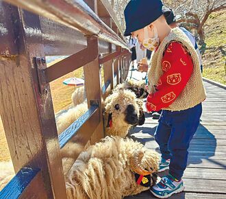 兒童節連假 清境農場、九九峰動物園 祭優惠