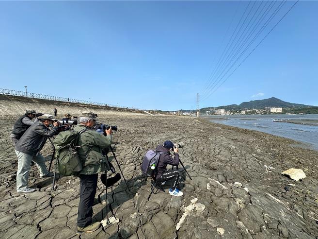 眾多摄影爱好者就近追踪娇客的身影。（新北市高滩处提供／张铠乙新北传真）