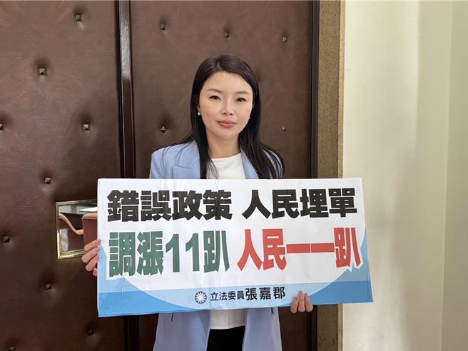 国民党立委张嘉郡。（张嘉郡办公室提供／陈薏云台北传真）