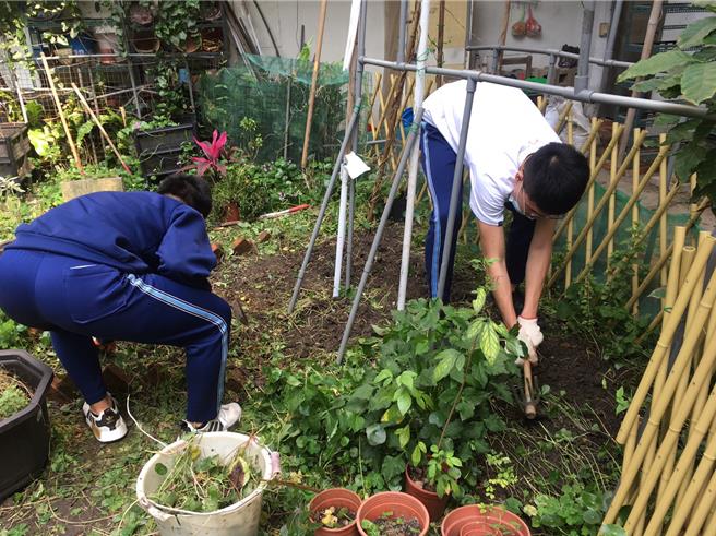 中介教育包含多元彈性的高關懷課程，如園藝創作等，讓孩子找回對學習的信心，圖為資料照。（新北市教育局提供）