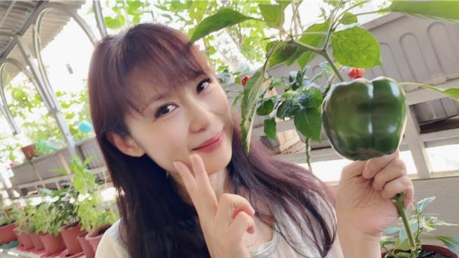 周子寒和胡艺芬推出新单曲〈心有独锺〉。（艺起发光提供）