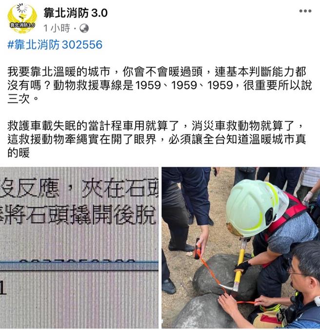 有人PO照指「救护车载失眠的当计程车用就算了，消灾车救动物就算了，这救援动物牵绳实在开了眼界」，引发热议。 （翻摄靠北消防3.0／洪靖宜高雄传真）