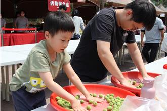 南投梅子節開跑！手作脆梅DIY湧入破千人 縣長與民眾開心做梅