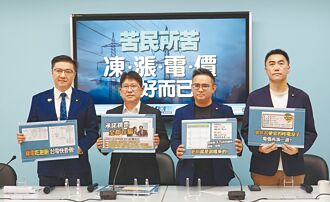 藍白凍漲電價立院討論 綠提協商反制