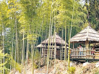 雲林迎竹博覽會 草嶺竹藝術超療育