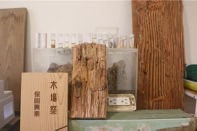 保固兴业公司进驻嘉义旧监宿舍群木都聚落开设「维户学苑」室内展示木业成果。（嘉义市政府提供／廖素慧嘉市传真）