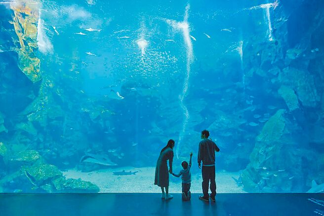 「北北基桃景点畅游卡2日券」效期内凭卡享人气景点Xpark、小人国门票优惠。（台北市政府提供）