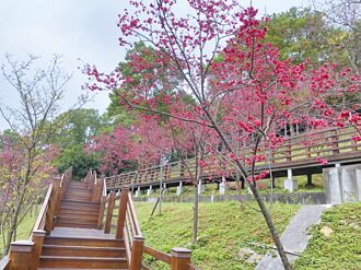 養生村月租2萬起跳 銀髮族嘆負擔好大