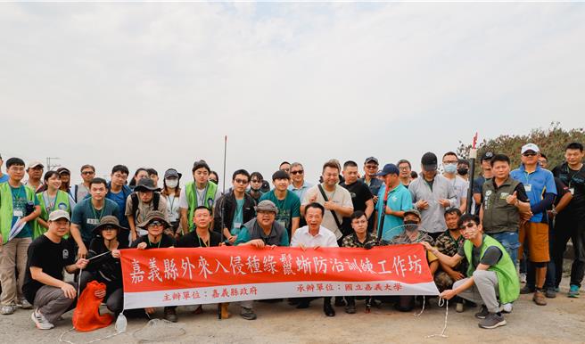 嘉义县政府与嘉义大学合作培训「猎龙大队」捕抓绿鬣蜥。（嘉义县政府提供／廖素慧嘉县传真）