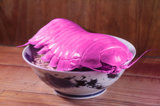 愚人节玩笑？粉红色「女王具足虫」拉麵登场 一碗4100元