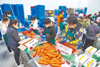 降低人力成本 陆企兴起共用员工