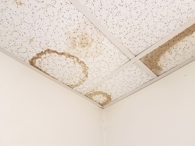 国外一名网友抱怨租屋处天花板的咖啡色污渍反覆出现，结果确认是老鼠尿液。（示意图：shutterstock／达志）