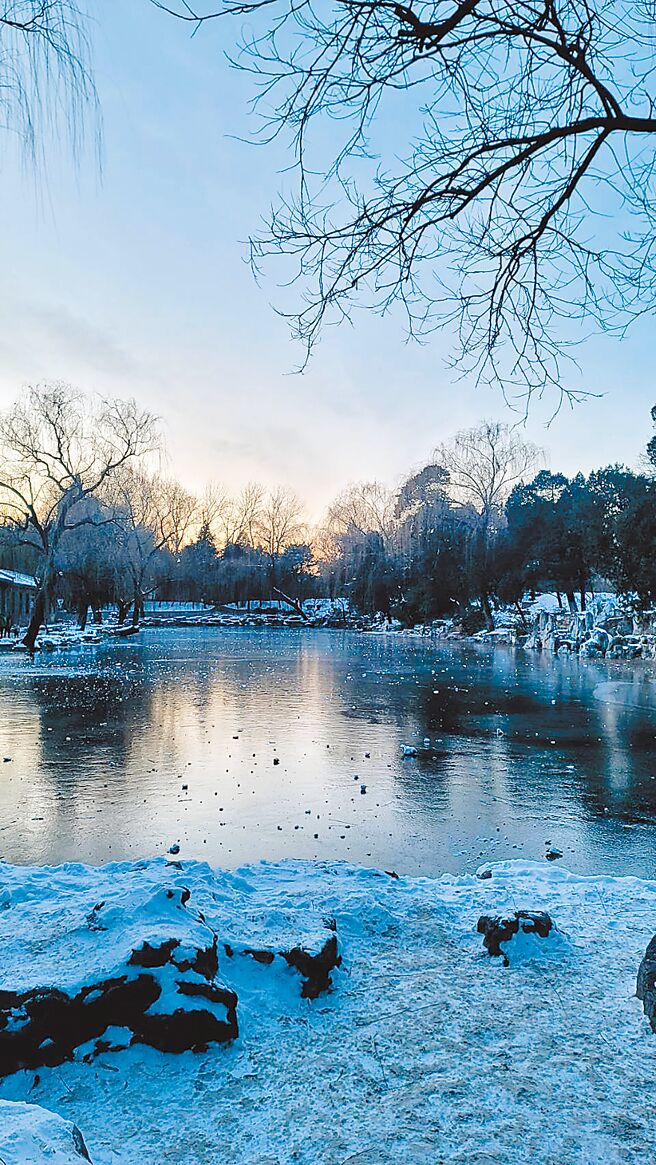清華大學校園冬日蕭瑟景象。（李思璌／提供）
