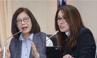 立院八大委員會質詢聲量最高 竟是這兩個女人互槓這一場