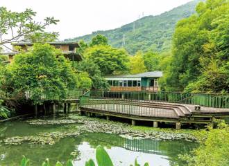 星空呱呱季  马太鞍欣绿农园