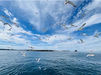打造悠活旅遊 澎湖跳島賞岩賞鷗樂