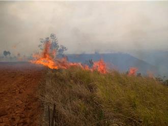 中市清明公墓火災單日最高40件  消防員疲於奔命與惡火搏鬥14小時