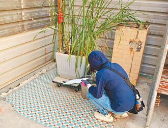 查获登革热孳生源 最高罚1.5万元