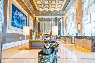 帶毛孩上飯店 共度美好食光