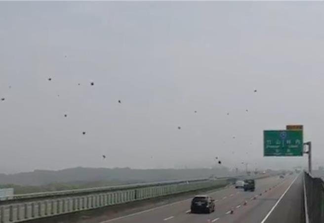 台灣紫斑蝶遷徙經過國道3號雲林縣林內鄉觸口段，「台灣紫斑蝶生態保育協會」2日觀察到每分鐘最多達1150隻，是今年至今最多的一次，預計今年總數量至少有25萬隻。（台灣紫斑蝶生態保育協會提供／張朝欣雲林傳真）