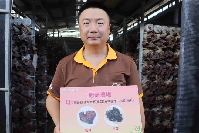 生产木耳40、50年的旭岭农场，二代负责人庄咏杰，木耳卷入宝林茶室食物中毒案后，目前订单全被挡。（吕妍庭摄）