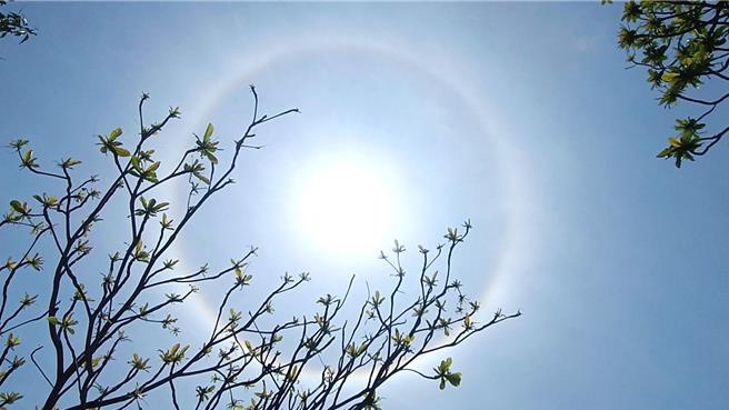 「日暈」高掛台東天空，耀眼奪目，被稱為「上帝之眼」。（讀者提供／蕭嘉蕙台東傳真）