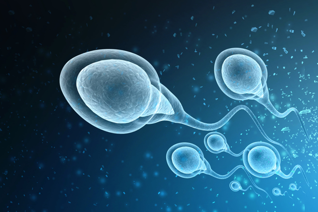 生活中有许多因子在破坏精虫活动力，成为导致不孕的隐形陷阱。（示意图：shutterstock／达志）