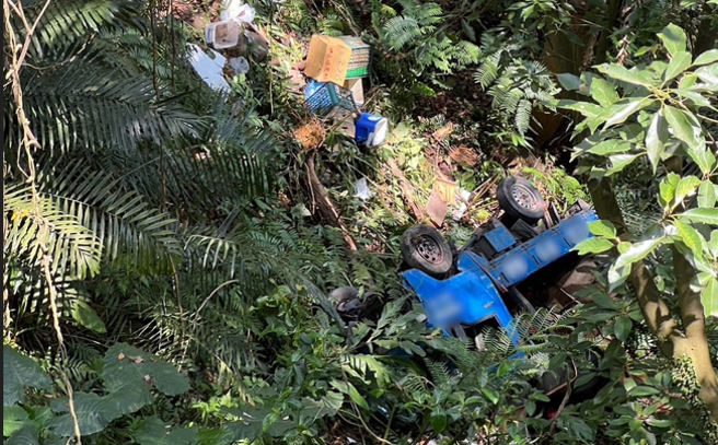 货车驾驶行驶中捡水瓶，不慎将车辆开下山坡受困。（翻摄画面）