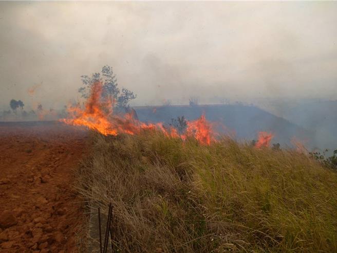 清明节前祭祖，公墓火灾频传。台中市消防局2日表示，今年3月23日创下单日最高40件，呼吁民眾扫墓祭袓不乱烧杂草、不乱丢烟蒂、不飞扬冥纸、不燃放爆竹及记得灭余烬、记得收垃圾等「四不、二记得」要诀。（台中市消防局提供／陈淑芬台中传真）