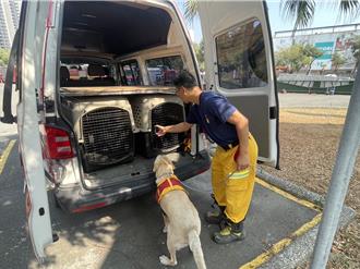 強震多處災情！高雄、桃園出動特搜隊赴花蓮救災
