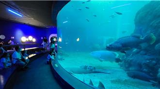 歡慶5周年 澎湖水族館變身霍格華爾滋海底遊樂園