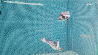 傷癒海龜將野放  機器仿生海龜進駐望安綠蠵龜保育中心