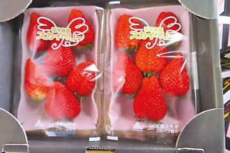 放寬農藥標準 食藥署挨轟幫日本賣草莓