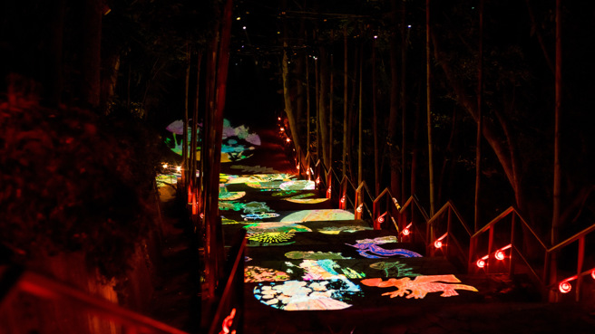 龍崎光節空山祭此次以「龍火餘燼」為主題，創造出一系列彷彿於自然環境生長的藝術裝置，圖為作品《溢流》。（圖/臺南市政府文化局提供）