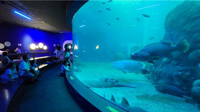 欢庆五周年，澎湖水族馆继推出一日水族馆潜水员体验后，4日起变身霍格华尔滋海底游乐园。（许逸民摄）