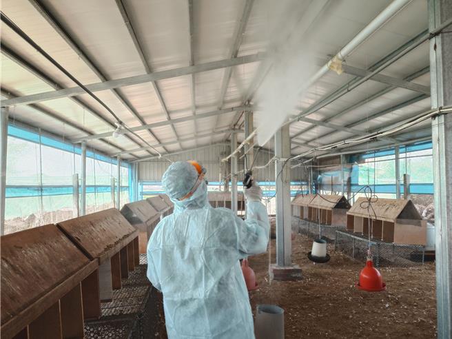 台南後壁蛋雞場確診禽流感，動保處4月3日完成撲殺1463隻及銷毀場內雞蛋，全數運至焚化爐銷燬，並進行全場消毒。（台南市動保處提供／張毓翎台南傳真）