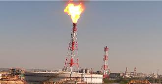 今年第4度違規 中油林園廠燃燒塔噴火光